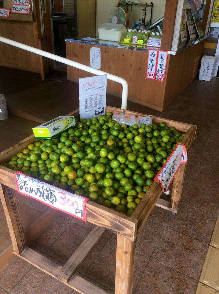 みかんの里,みかん,伊豆味
