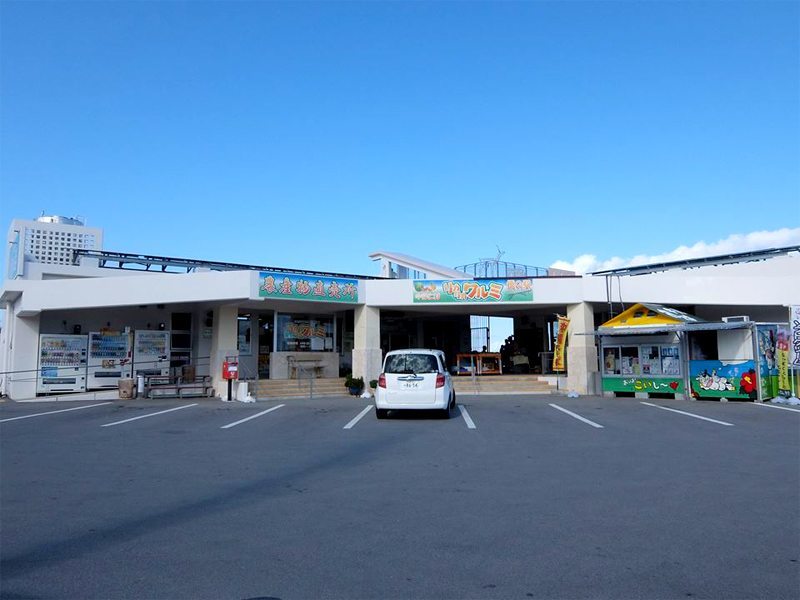 沖縄,やんばる,観光,橋の駅リカリカワルミ,リカリカワルミ,今帰仁村,絶景