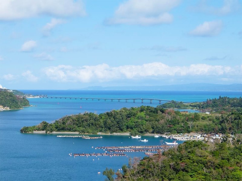沖縄,やんばる,観光,橋の駅リカリカワルミ,リカリカワルミ,今帰仁村,絶景