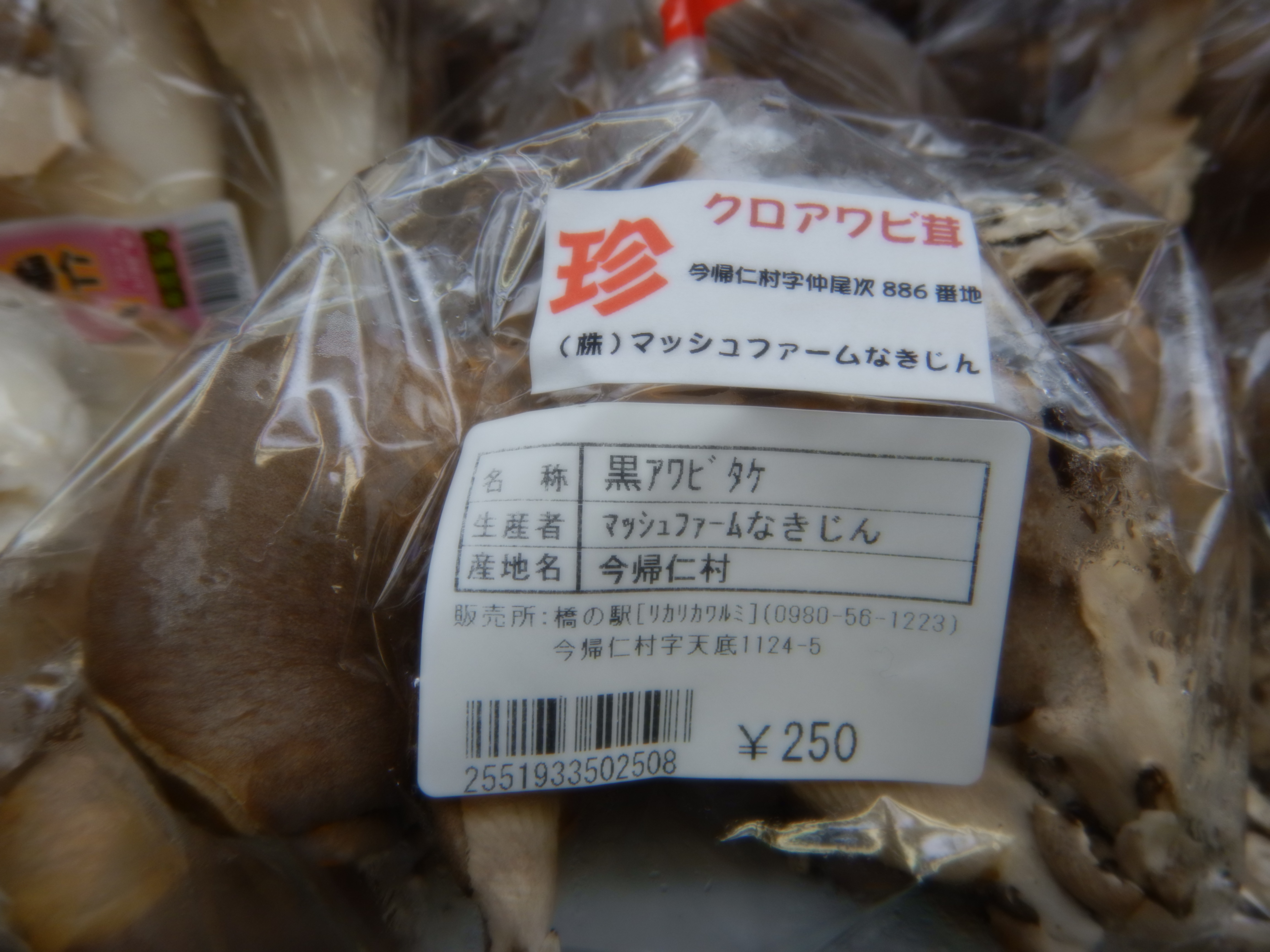DSCN3199