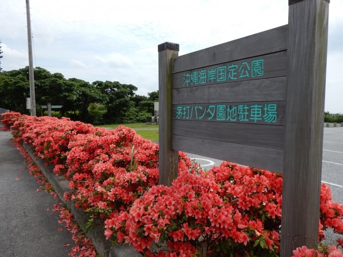 DSCN4009