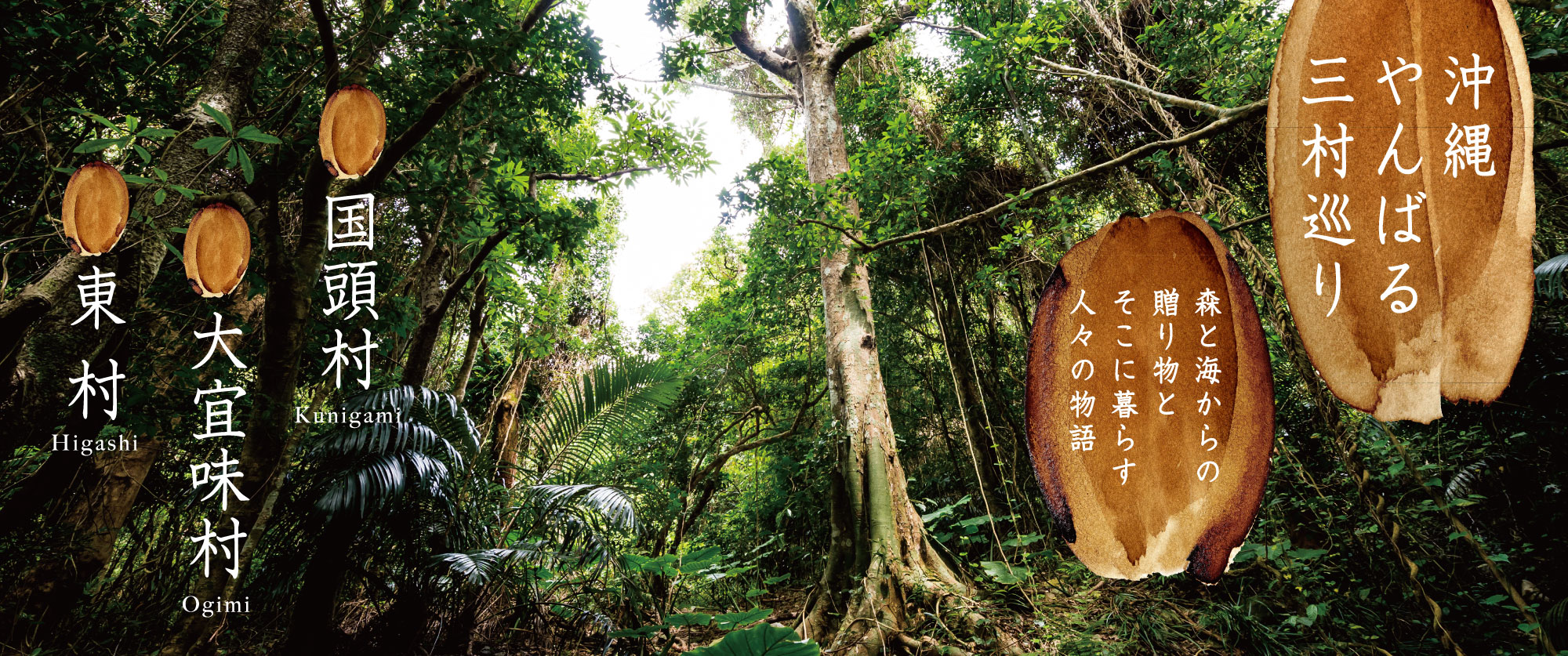 沖縄やんばる三村巡り